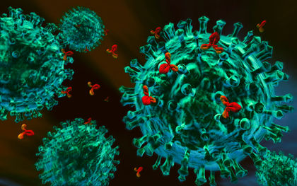 ماذا يعنى اكتشاف أجسام مضادة لفيروس سى؟